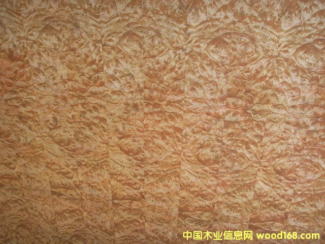 �����N����Ԕ��(x��)��B