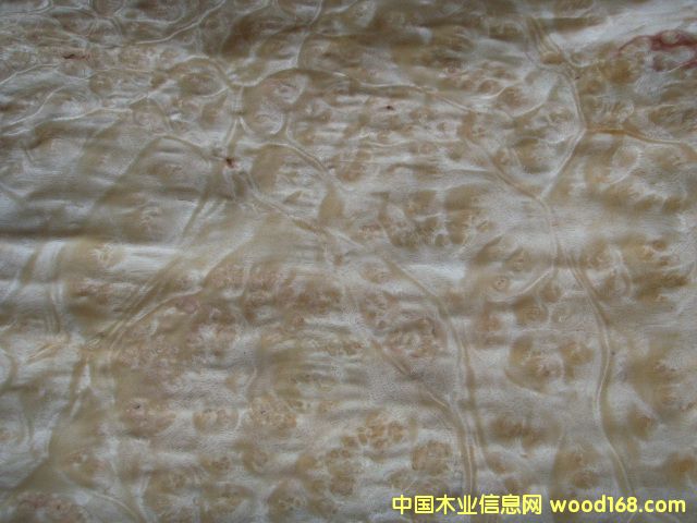 ɽ��������N����Ԕ��(x��)��B