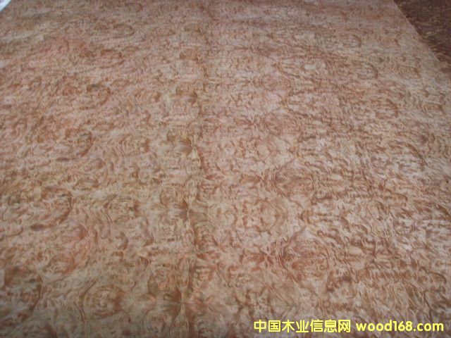 �����N����Ԕ��(x��)��B