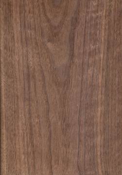 �c(di��n)���鿴�ں���(black walnut)�Ŵ�DƬ