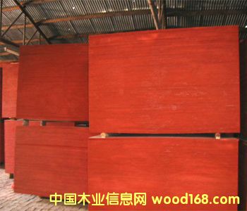 ����ģ���Ԕ����B