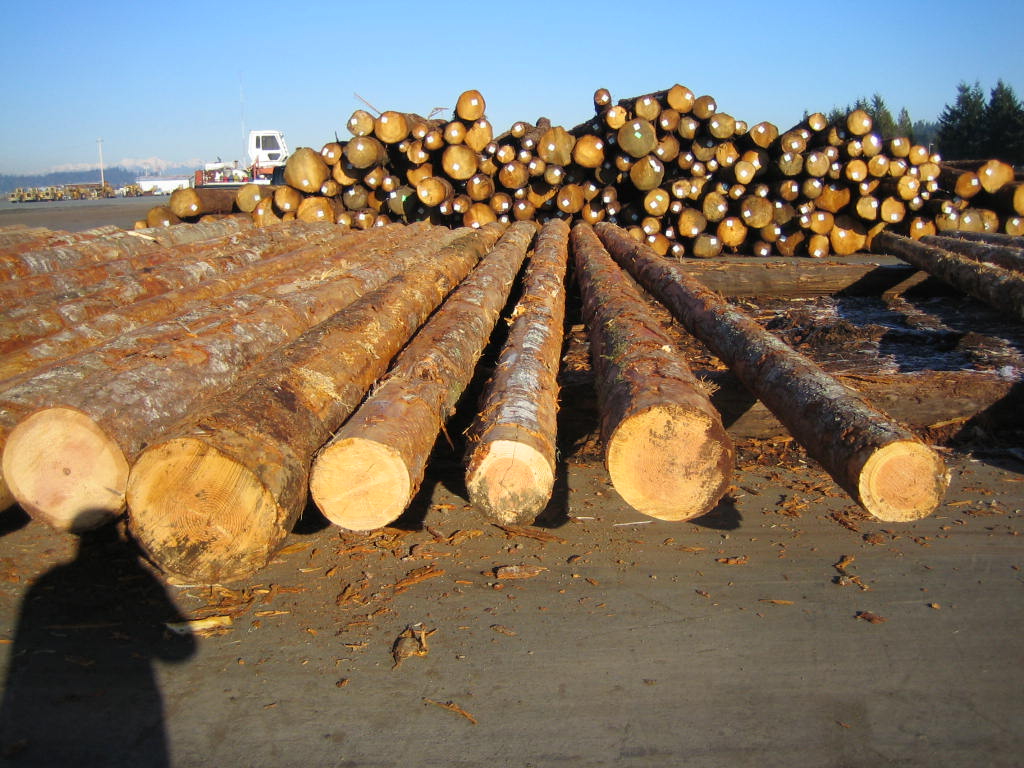 ����(gu��)�����ɵ�Ԕ��(x��)��B