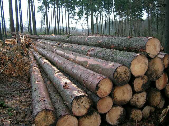 ��(gu��)��ɼ��Ԕ��(x��)��B