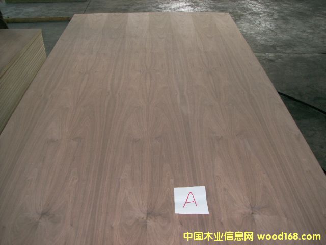 ��ľ�����p�N�ں��ҵ�Ԕ����B