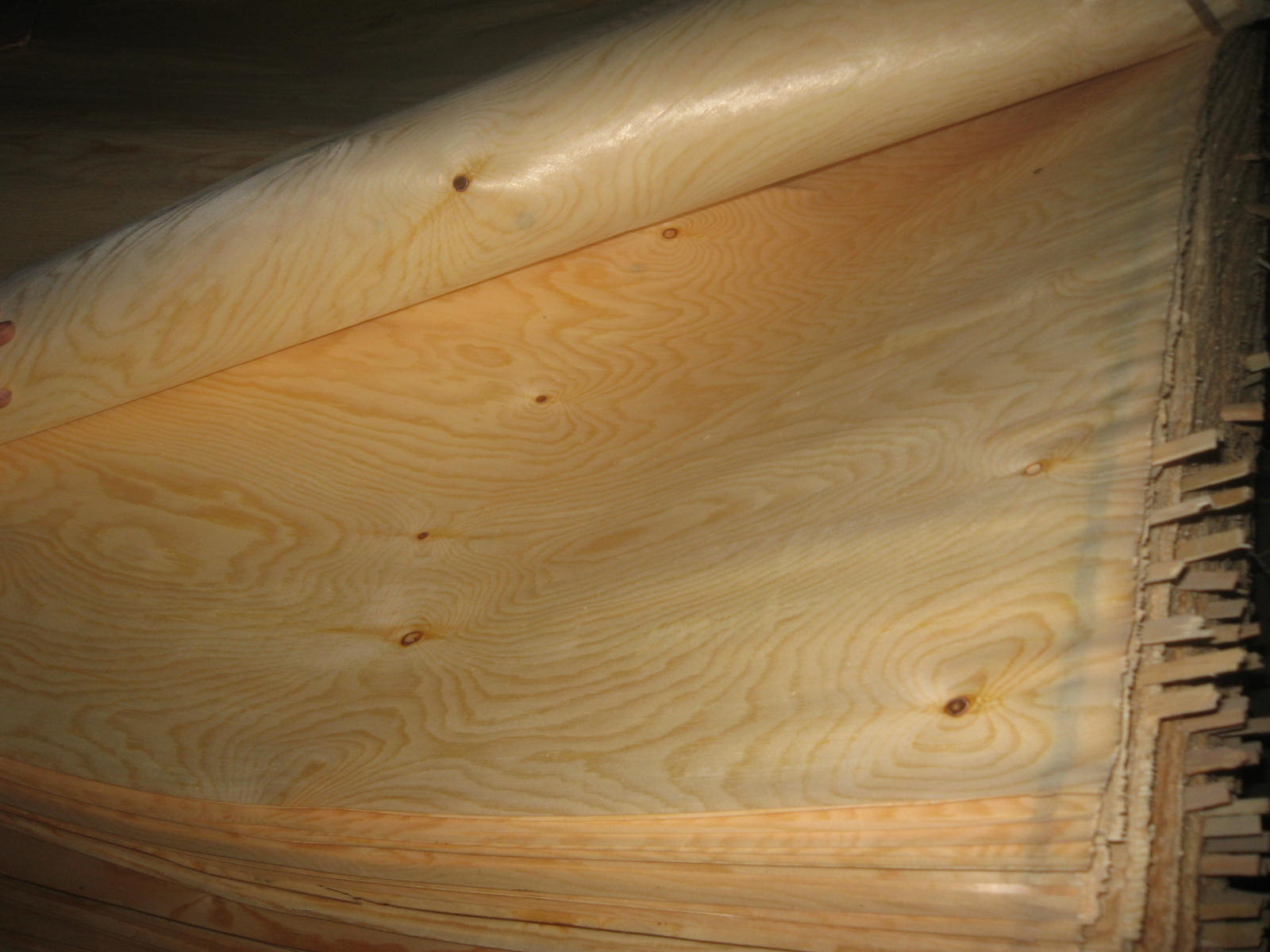 ��ľ��Ƥ��Ԕ��(x��)��B