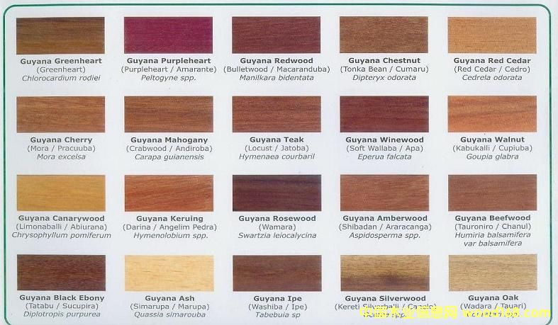 GUYANA WOODS��Ԕ����B