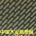 �c���鿴ɰ��CƤ���Ŵ�DƬ