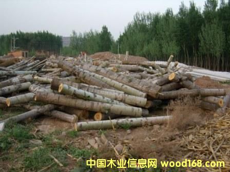 ��ľԭľ��Ԕ��(x��)��B