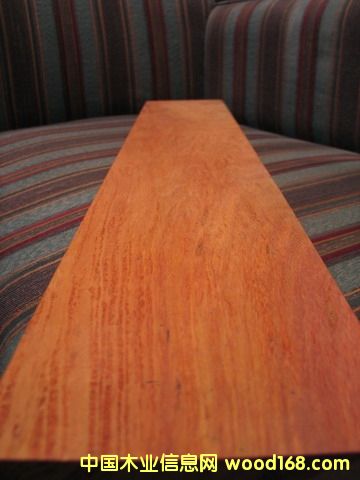 �c(di��n)���鿴�θ���ľ���ϷŴ�DƬ