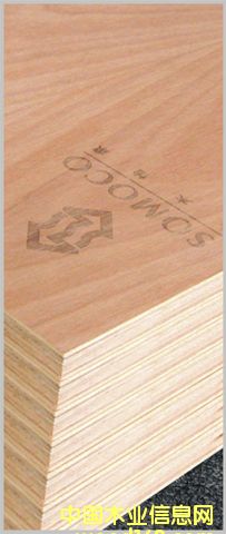 �c���鿴�p��t������漚ľ����Ŵ�DƬ