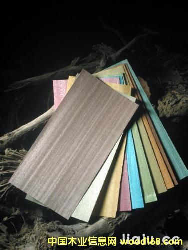 ȾɫľƤ��Ԕ��(x��)��B