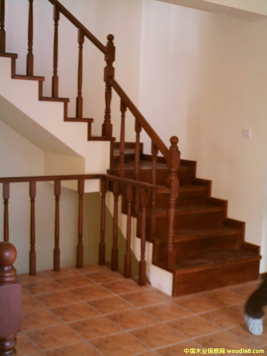 �c���鿴��ľ���ݷŴ�DƬ