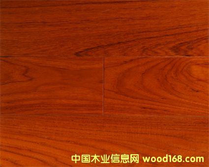 �c���鿴̩�ֶ��ӌ�ľ�ͺϵذ�Ŵ�DƬ