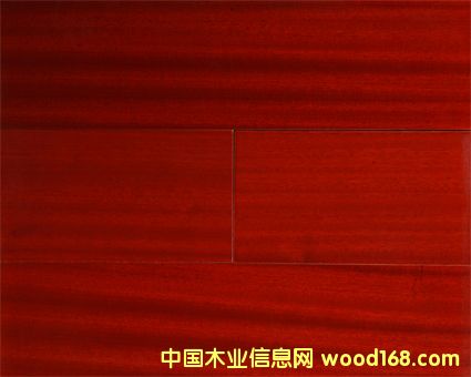 �c���鿴ɳ�������ӌ�ľ�ͺϵذ�Ŵ�DƬ