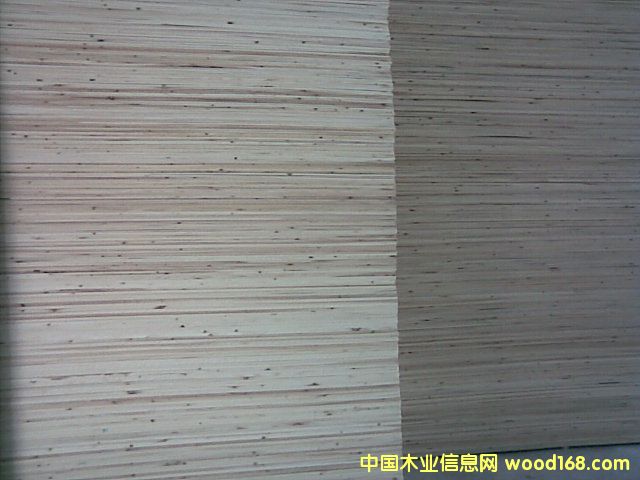 �c���鿴ɼľƴ��.ɼľ����Ŵ�DƬ