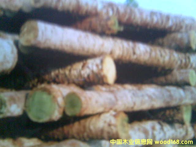 �c(di��n)���鿴ľ-ԭ����-δ�ӹ�-���ؘ�Ŵ�DƬ