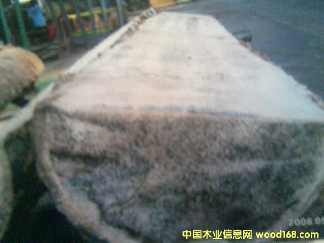 �c(di��n)���鿴ľ-ԭ���ϷŴ�DƬ