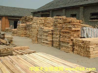 12��Ԕ��(x��)��B