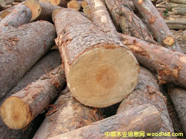 6��Ԕ��(x��)��B