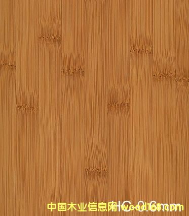 �c���鿴���NƬ�Ŵ�DƬ