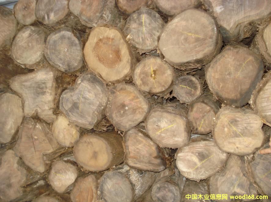 �c(di��n)���鿴������ľ�Ŵ�DƬ