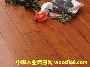 �c���鿴ɭ��֮�õذ�Ŵ�DƬ