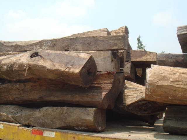 �c(di��n)���鿴̩���M(j��n)�ڴ�t��֦�Ŵ�DƬ