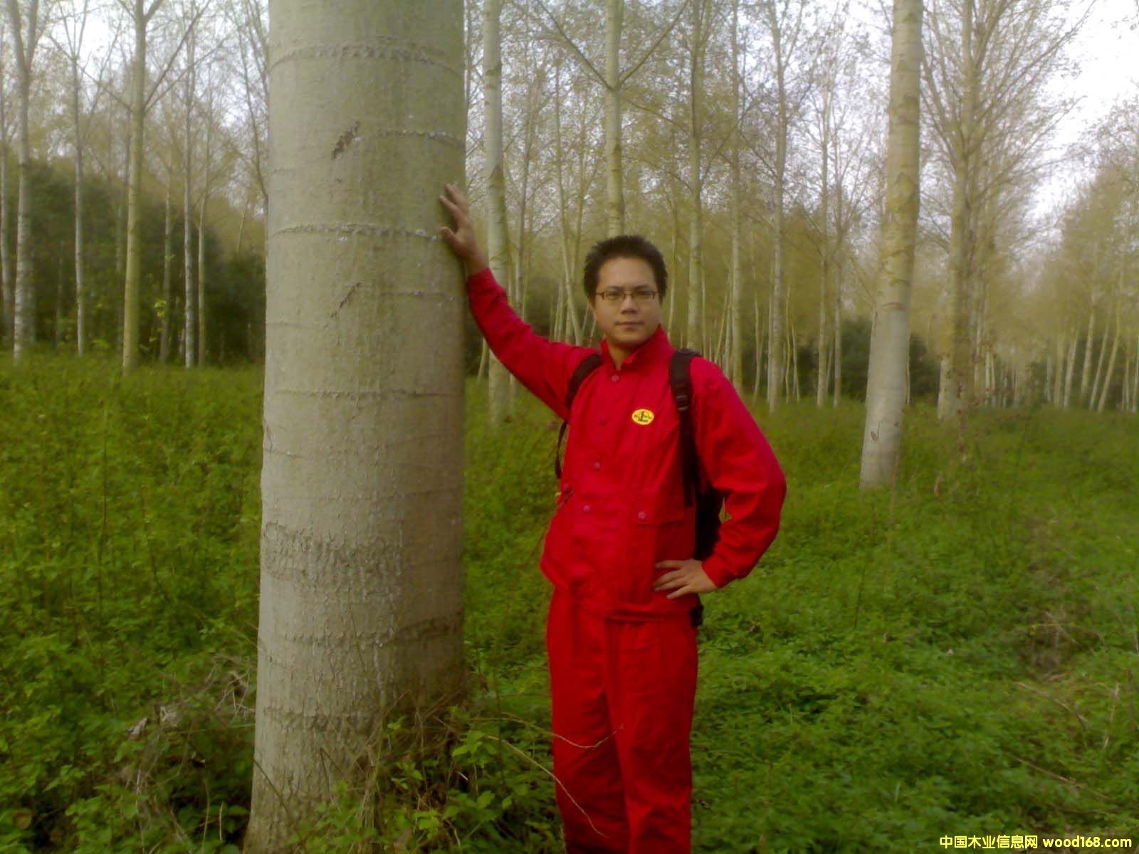 �c���鿴�����ח�Ŵ�DƬ