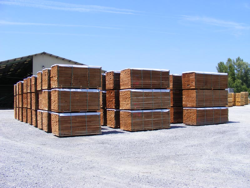 �c���鿴̼����ľ��ķŴ�DƬ