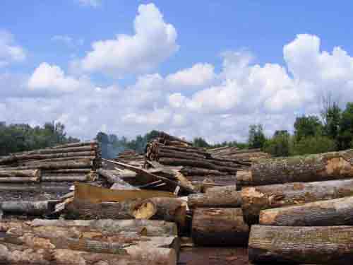 �c���鿴�W�ް���ԭľ�Ŵ�DƬ