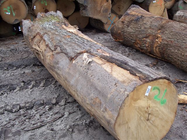 �c(di��n)���鿴�t��ԭľ�Ŵ�DƬ