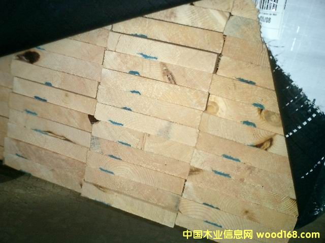 �c���鿴SPF�Ŵ�DƬ