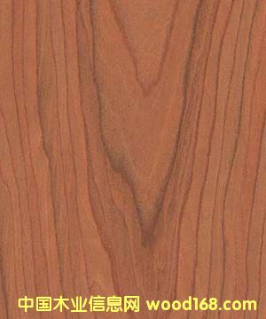 �c���鿴�Ƽ�ľ�Ŵ�DƬ