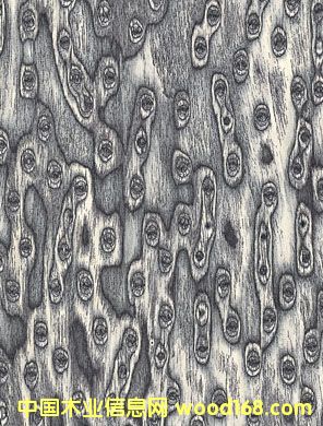 �c(di��n)���鿴�a(ch��n)Ʒ4��Ԕ��(x��)�Y��