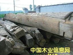 �c���鿴����ľ�Ŵ�DƬ