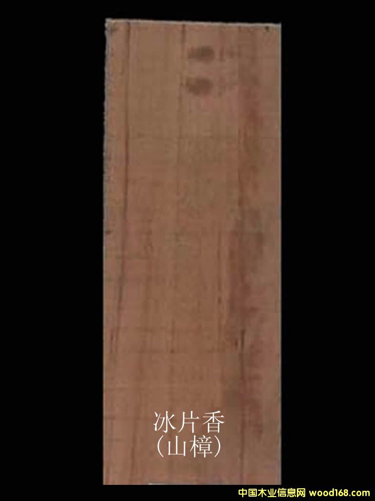 ��Ƭ���Ԕ��(x��)��B