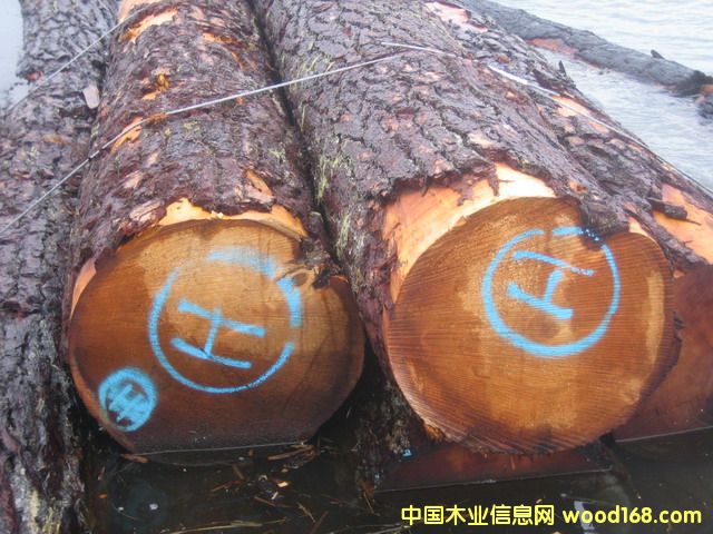 �c(di��n)���鿴���Fɼ�Ŵ�DƬ