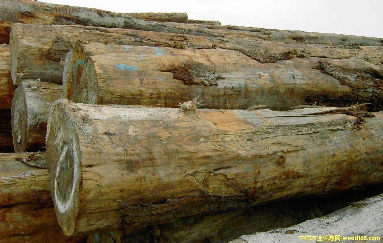 �c(di��n)���鿴���Fɼ�Ŵ�DƬ