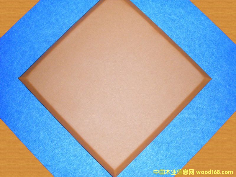 �c���鿴Ƥ������ܛ���Ŵ�DƬ