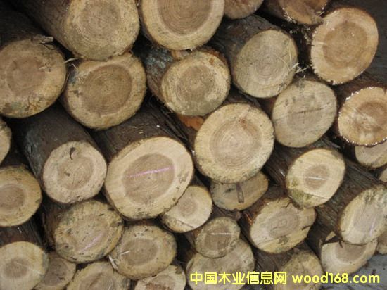 �c(di��n)���鿴ɼľԭľ�Ŵ�DƬ