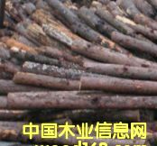 ԭľ��Ԕ����B