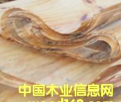 ��Ƥ��Ԕ����B