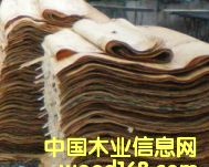 ��Ƥ��Ԕ����B