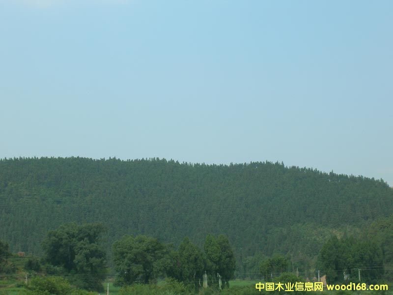 �c(di��n)���鿴ɼľ�Ŵ�DƬ