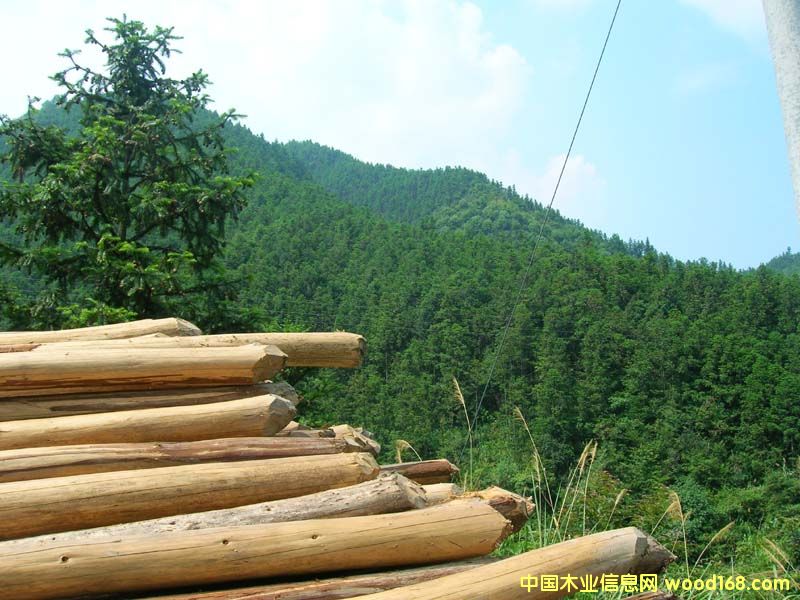 �c(di��n)���鿴ɼľ�Ŵ�DƬ