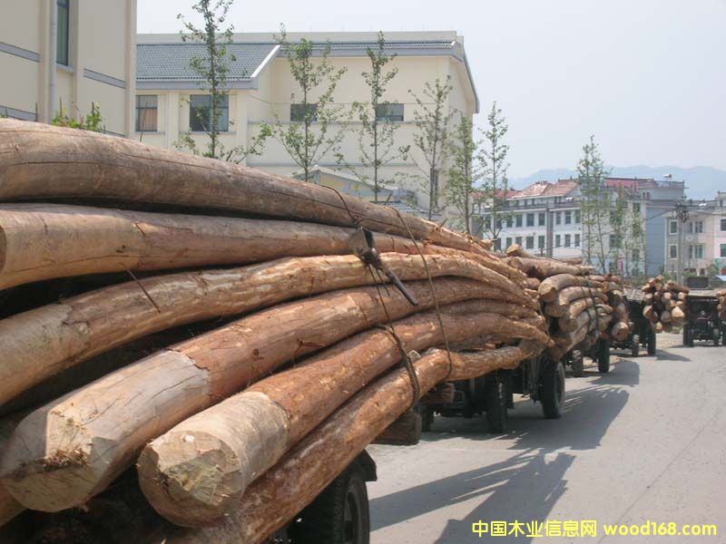 �c(di��n)���鿴ɼľ�Ŵ�DƬ