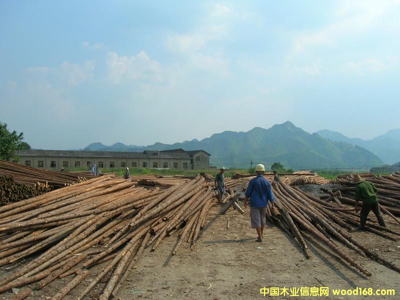 �c(di��n)���鿴ɼľ�Ŵ�DƬ