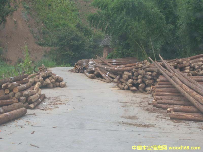 �c(di��n)���鿴ɼľ�Ŵ�DƬ