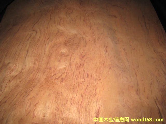 ���滨�y��Ԕ����B