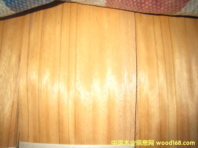 �Sõ���Ԕ����B